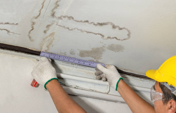 Reliable Flood Cleanup contractor in Ledbetter, KY by Water Damage Irwin